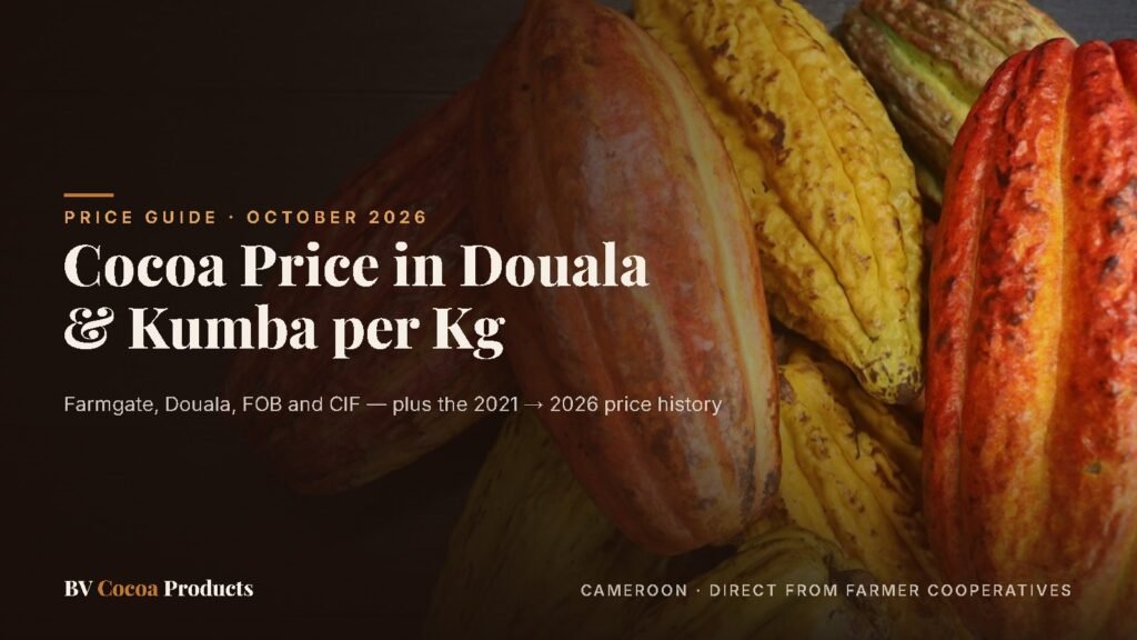 Fresh cocoa pods — cocoa price in Douala and Kumba per kg guide by BV Cocoa Products