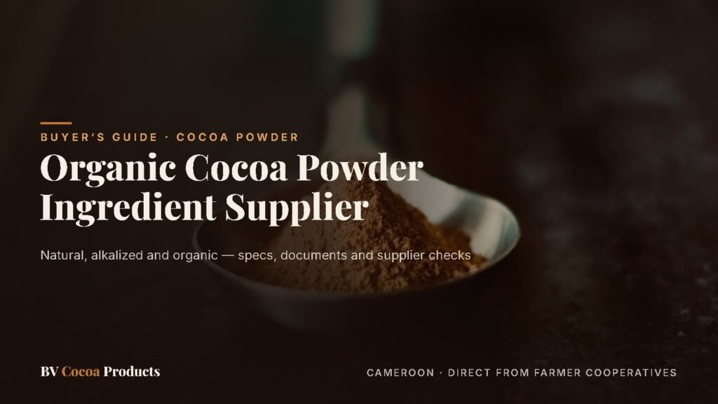 Spoon of cocoa powder — organic cocoa powder ingredient supplier guide