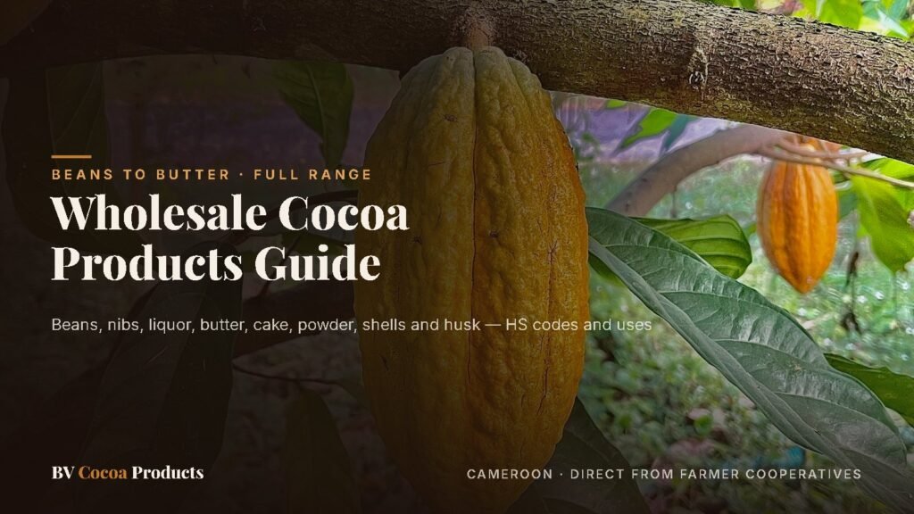 Harvested cocoa pods — wholesale cocoa products guide from a Cameroon cocoa supplier